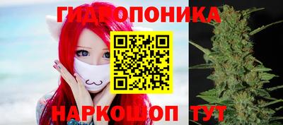 амф Гай
