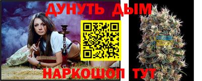 амф Гай