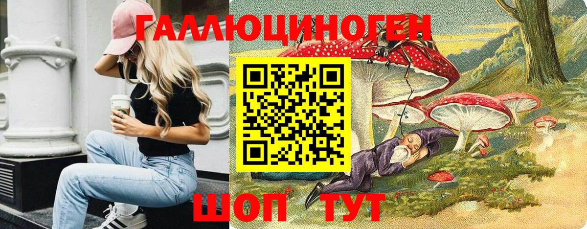 Пугачёв  Галлюциногенные грибы мицелий  Вход с VPN 