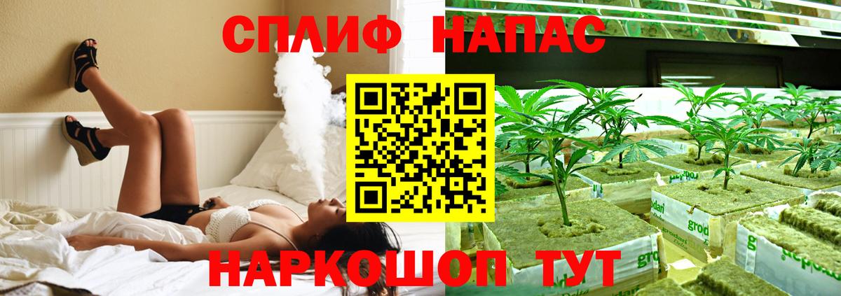 Марихуана White Widow Пугачёв